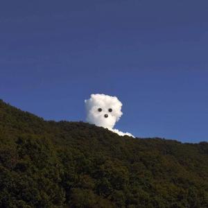 屁屁CCYYCOM绿帽国外
